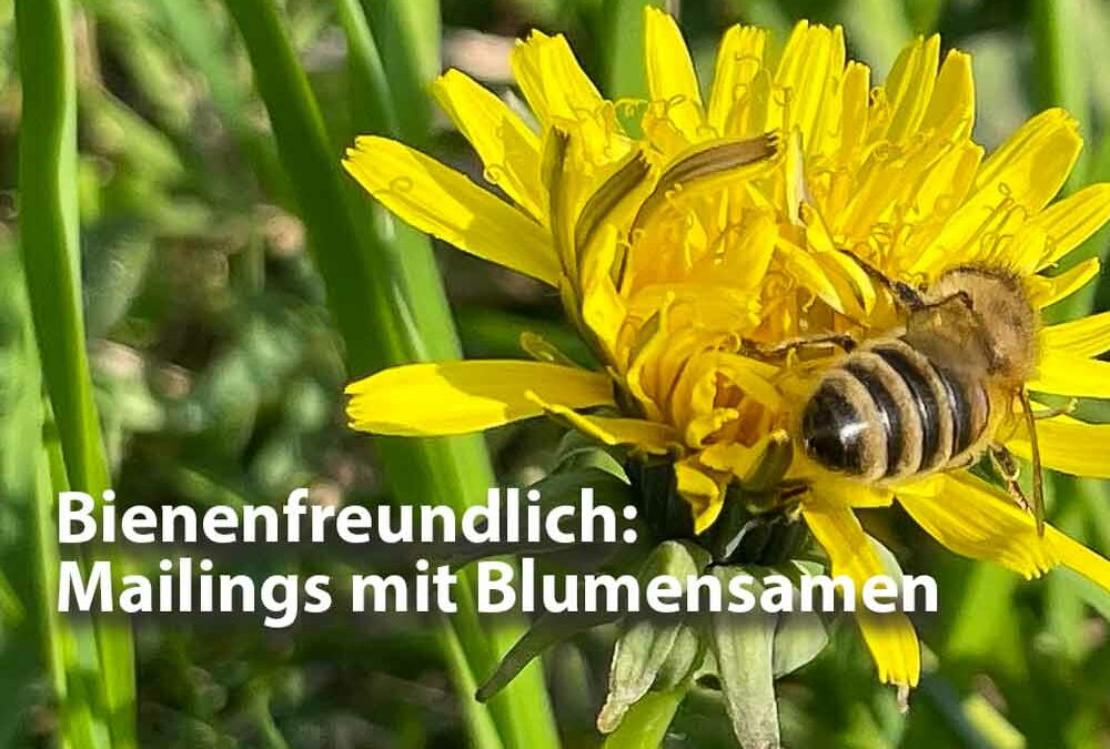 Mailing mit Blumensamen